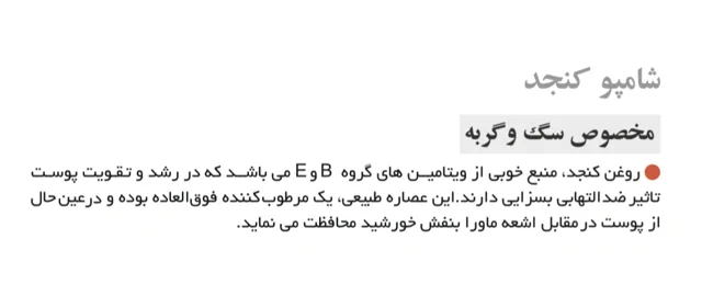 کنجد